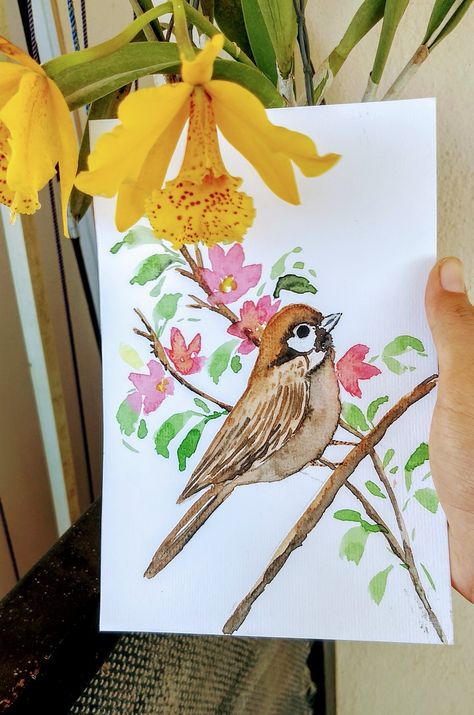 Sparrow Bird Painting, Sparrow Painting Watercolors, Easy Bird Painting Acrylics, Colourful Sketches, Sparrow Illustration, Sparrow Watercolor, Bird Drawing Easy, Sparrow Painting, Watercolor Birds Tutorial