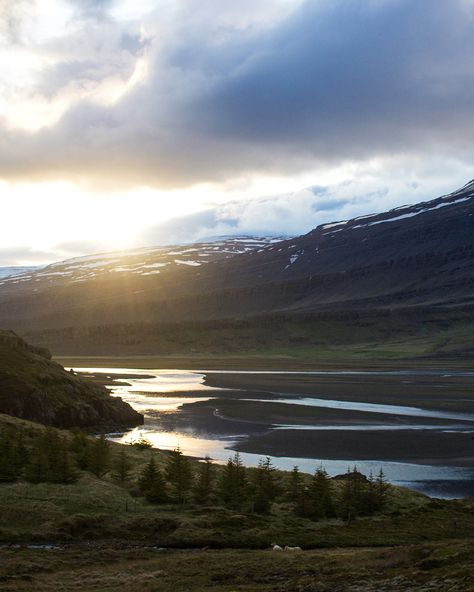 The East Fjords. Iceland Fjords, The East, Scandinavia, Iceland, Instagram