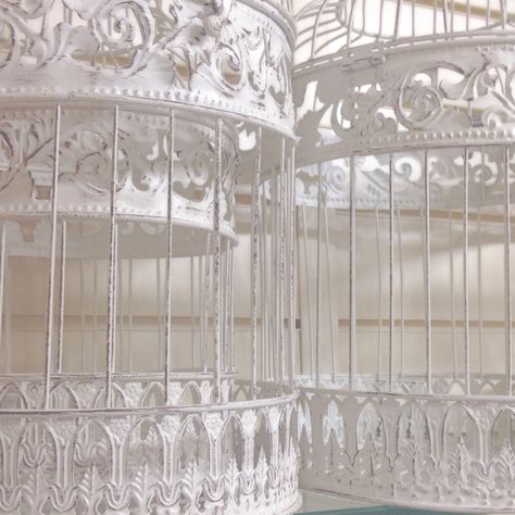 White victorian bird cages Bird In A Cage Aesthetic, Caged Bird Aesthetic, Birdcage Aesthetic, Bird Cage Aesthetic, Nikolai Aesthetic, Satyr Bard, Cage Aesthetic, Rhodes Aesthetic, Melody Core