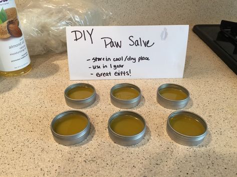 Diy Pet Care Products, Doterra Dogs, Puppy Advice, Herb Benefits, Homemade Balm, Dog Balm, Dog Paw Balm, Paw Wax, Dog Paw Pads