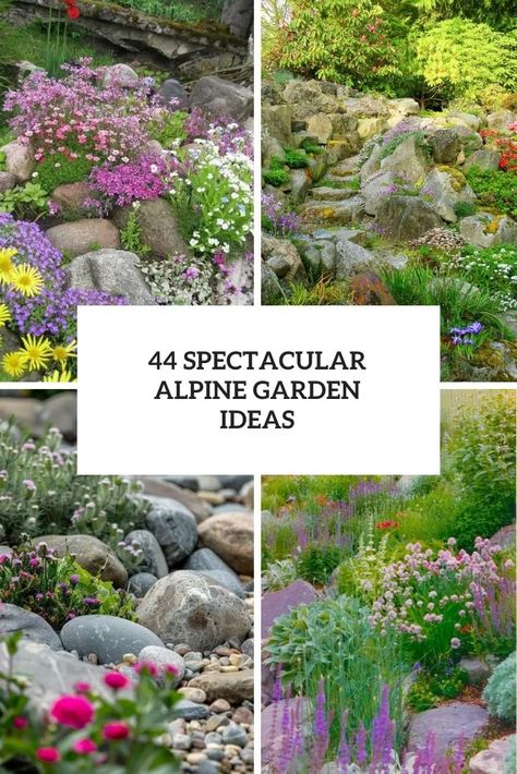 44 Spectacular Alpine Garden Ideas - DigsDigs Alpine Garden Ideas, Rockery Garden Ideas, Rockery Garden, Creeping Phlox, Alpine Garden, Hosta Plants, Alpine Style, Small Shrubs, Alpine Plants