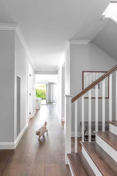 This Hamptons hallway has a stairwell with textured dark timber flooring and a staircase crafted with stained timber treads and railings in Dulux Lexicon Half. Hamptons Flooring, Hamptons Hallway, Hamptons Staircase, Dulux Lexicon, Australian Hamptons Style, Dark Timber Floors, Hamptons House Interior, Hamptons Interior Design, Hampton Homes