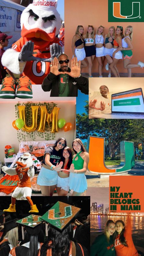 #miami #university #universityofmiami #college #collegeaesthetic #florida #orange #green #wallpaper #dreamschool #miamiaesthetic 🧡 Orange Green Wallpaper, U Of Miami, Miami College, College Vision Board, Colleges In Florida, Miami University, College Aesthetic, Dream College, Dream School