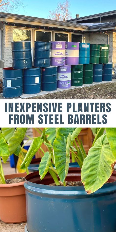 Metal Barrel Planter Ideas, Oil Drum Planter, Barrel Garden Ideas, Barrel Garden Planters, Plastic Barrel Planter, Diy Small Backyard, Barrel Flowers, Backyard Planters, Backyard Landscaping Diy