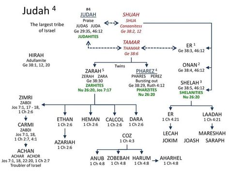 Bible Maps, Bible Genealogy, Bible Charts, Torah Study, Sons Of Jacob, Bible Mapping, Bible Prints, Bible Study Help, Online Bible Study