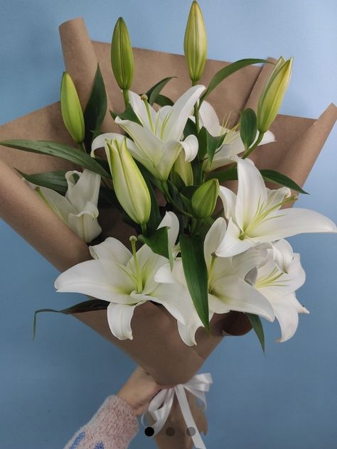 Bouquet Of White Lilies, White Lily Bouquet Aesthetic, Simple Lily Bouquet, Lilium Flower Bouquets, Easter Lily Bouquet, Bouquet Of Flowers Lilies, Lily Bucket Flower, Lily Bouquet Aesthetic, Lilium Bouquet