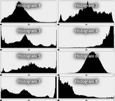 Histogram Photography, Test Notes, Photo Course, Digital Photography Lessons, Photography Settings, Photo Class, Photography Cheat Sheets, Digital Imaging, Photo Techniques