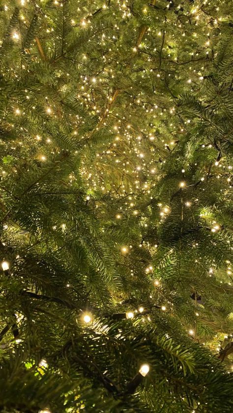 Christmas Dreaming Wallpaper, Christmas Glitter Aesthetic, Dark Green Aesthetic Christmas, Christmas Garland Aesthetic, Evergreen Christmas Aesthetic, Wintergreen Aesthetic, Cosy Christmas Wallpaper, Green Christmas Asthetics, Light Green Christmas Wallpaper