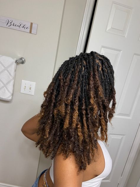 Locs Highlights, 4a Locs, Locs Aesthetic, Color Locs, Loc Goals, Curly Locs, Black Ponytail Hairstyles, Short Locs Hairstyles, Dreadlock Styles