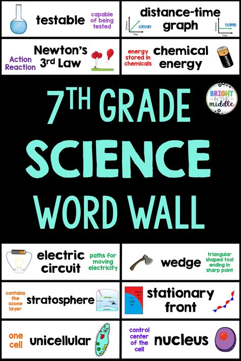 Middle School Science Classroom Setup, Middle School Science Fair Projects, Online Flashcards, Forces And Motion, Scientific Inquiry, Instructional Activities, Reference Study, Science Lessons Middle School, Science Word Wall