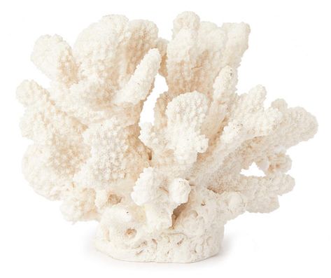 Coast White Coral Tabletop Decor | Big Lots White Coral Decor, Coastal Bedroom Desk, Sea Coral Decor, Room Decor Beachy, Girl Hangout, Coral Bathroom Decor, Coral Room, Coral Bathroom, Coastal Room Decor