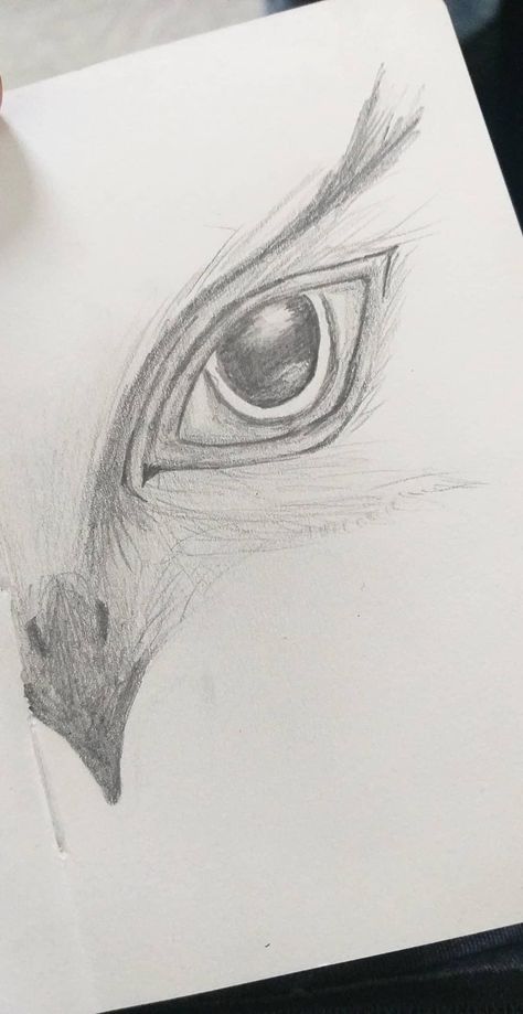 Owl Eye Drawing, Small Owl Drawing, Owl Drawing Simple Step By Step, Owl Sketch Simple, How To Draw Owl, Owl Drawing Simple, Cute Owl Drawing, Drawing Owl, Simple Owl