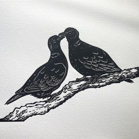 Emily Robertson on Instagram: "Two turtle doves 🕊️ 🕊️" Turtle Dove Tattoo, Turtle Doves, Dove Tattoo, Lino Prints, Turtle Dove, Lino Cut, Black Oil, Print Inspiration, Block Printing