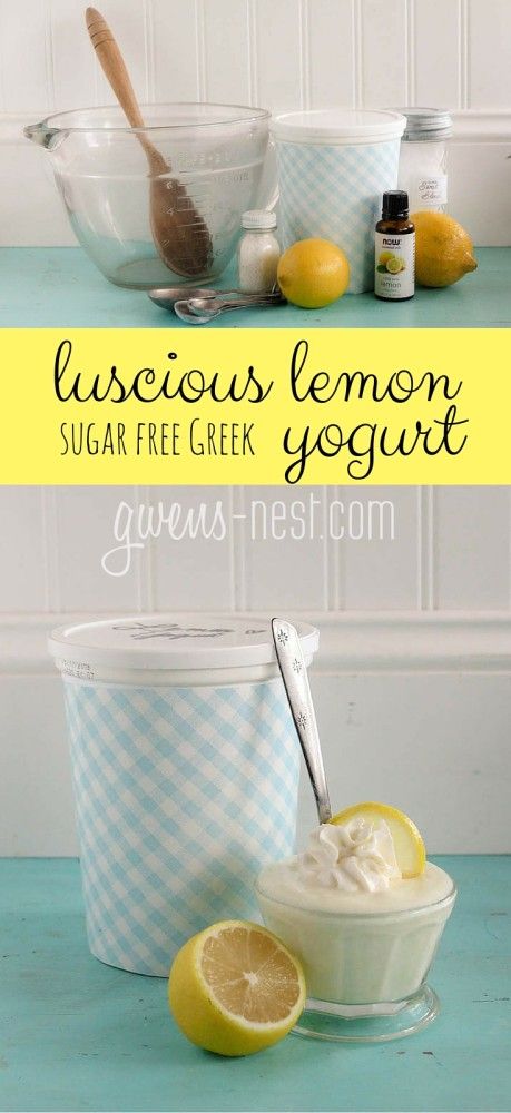 THIS lemon yogurt is my life. It tastes like lemonade pie, but it's high in protein and sugar free. SO MUCH YUM! Here's how to make a whole quart! Thm Greek Yogurt Recipes, Lemon Yogurt Recipe, Siggis Yogurt, Lemon Greek Yogurt, Thm Snacks, Thm Fp, Breakfast Yogurt, Fuel Pull, Lemonade Pie