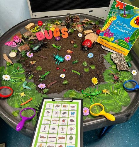 Minibeast Preschool Activities, Minibeast Activities For Toddlers, Montessori Garden Activities, Minibeasts Eyfs Tuff Tray, Minibeast Tuff Trays, Mini Beast Tuff Tray Ideas, Minibeasts Eyfs Activities For Toddlers, Minibeasts Preschool Activities, In The Garden Eyfs Activities