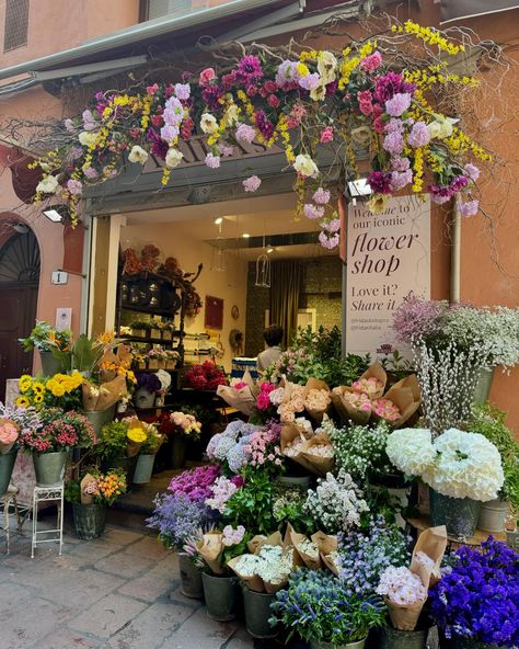 Bologna & food tour 🤤 Flower And Book Shop, Book Shop Cafe, Bologna Food, Book Shop, Food Tour, Emilia Romagna, Food Tours, Aesthetic Images, Bologna