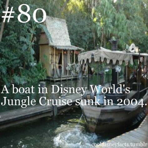 OMG- I was just on that ride over Thanksgiving Break! Disney Facts And Secrets, Elephant Bathing, Disney World Facts, Creepy Disney, Disney Dance, World Facts, Cool Disney, Disneyland Secrets, Cool Facts