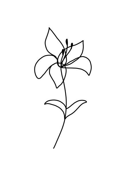 Minimalist Lily by lilyconstantino | Redbubble Minimalist Lily Tattoo Design, Minimalist Tattoo Lily Flower, Small Tattoos Lily Flower, Minimalistic Lily Tattoo, Lily Flower Doodle, Lily Flower Tattoos Minimalist, Lily Flower Outline Tattoo, Lily Doodle Simple, Lily Tattoo Dainty