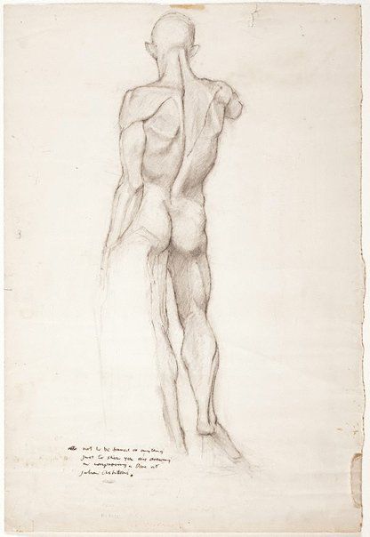 (Standing male nude from behind), (circa 1957) by Brett Whiteley :: The Collection :: Art Gallery NSW Brett Whiteley, Male Body Drawing, Back Drawing, Standing Poses, Figure Poses, Man Standing, Guy Drawing, Male Figure, Male Poses