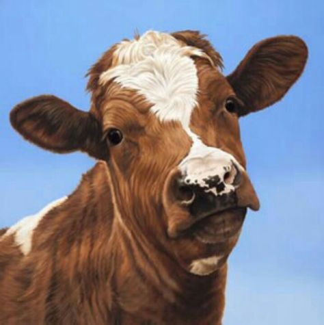 I know you won't believe it but it's a painting Cow Snap, Cow Riding, Funny Rap, Nguni Cattle, Brown And White Cow, Guernsey Cow, Sweet Cow, Cow Photos, Happy Cow