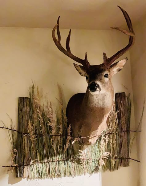 Deer Mount Decor Ideas, Deer Taxidermy Mounts, Deer Mounts Ideas, Buck Mounts, Deer Mount Display, Deer Taxidermy Decor, Deer Taxidermy Ideas, Decorating With Taxidermy, Deer Mount Living Room