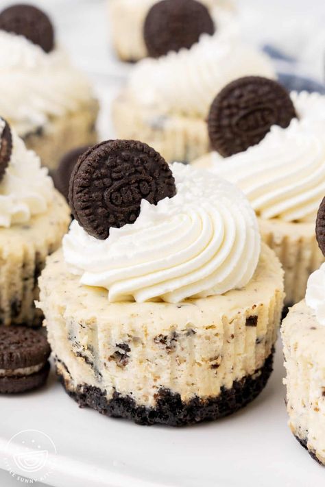 Mini Oreo Cheesecakes are a sweet and easy treat, baked in a muffin tin, with a crispy, buttery Oreo Crust, and creamy cheesecake filling. Oreo Brownie Cupcakes, Golden Oreo Cheesecake, Mini Oreo Cheesecake Bites, Cheesecake Treats, Oreo Crust Cheesecake, Graham Cracker Crust Recipe, Oreo Cheesecake Bites, Mini Oreo Cheesecake, Cake Receipe