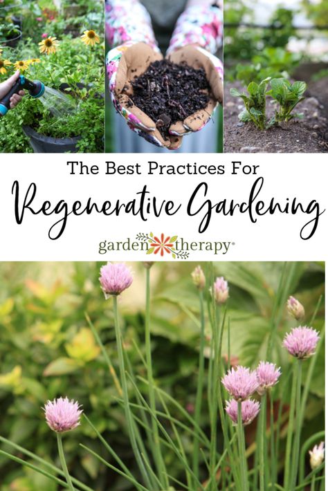 Regenerative gardening is an approach to making your outdoor space more eco-friendly, self-reliant, and harmonious. Here are my go-to practices to begin your own regenerative garden! #theregenerativegarden #regenerativegardening #nature #ecosystem #outdoors #gardening #gardenideas #gardenplanning #plants #gardentherapy Backyard Ecosystem, Garden Therapy, Eco Garden, Eco Friendly Garden, Gardening Trends, Permaculture Gardening, Desert Garden, Pollinator Garden, Self Watering Planter