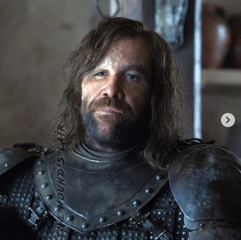 Hound Game Of Thrones, Game Of Thrones Sansa, Sandor Clegane, Rory Mccann, Vikings Show, Game Of Thrones Costumes, Game Of Thrones Series, John Snow, Fictional Crushes