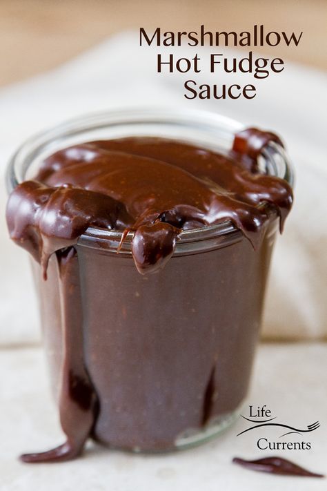 Occidental Hotel Hot Fudge Sauce, Hot Fudge Sauce Recipe, Fudge Sauce Recipe, Fudge Topping, Chocolate Goodies, Ice Cream Sauce, Homemade Hot Fudge, Sweet Sauces, Syrup Recipes