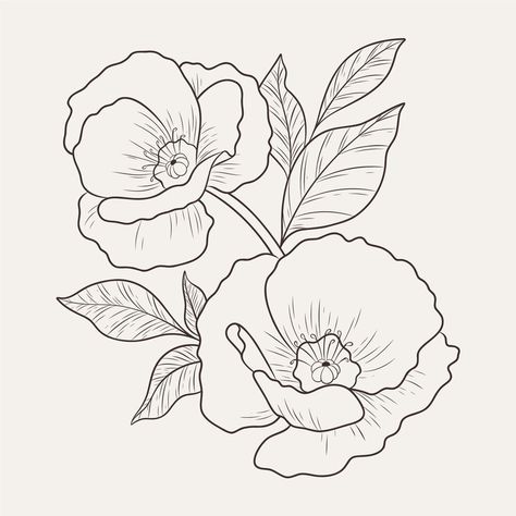 Free Vector | Hand drawn flat design simple flower outline Poppies Line Art, Poppy Flower Coloring Pages, Poppy Flower Drawing Simple, Poppy Outline, Poppies Drawing, Simple Flower Outline, Poppy Leaf, Poppy Flower Drawing, Poppy Flower Tattoo