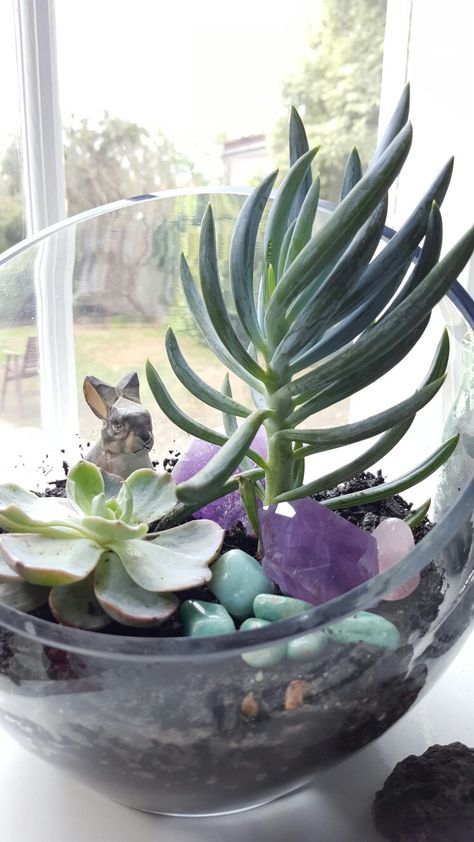 Crystals and succulents Crystals And Succulents, Miniature Garden Design, Succulent Terrarium, Boho Farmhouse, Miniature Garden, Mini Garden, Yard Ideas, Fairy Garden, Terrarium