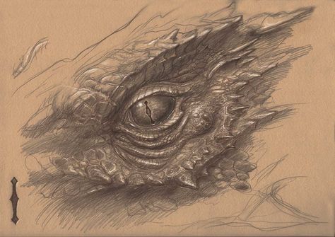 Illustrator and Artist John Howe John Howe Dragon, Smaug Eye, Smaug Drawing, Roaring Dragon, Dragon Eye Drawing, Lord Rings, Realistic Dragon, John Howe, Realistic Eye Drawing