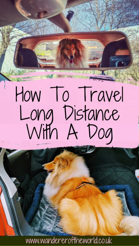 Dog Car Travel, Road Trip With Dog, Dog Travel Accessories, Dog Friendly Vacation, Dog Travel Bag, Dog Friendly Hotels, Dog Essentials, Dog Info, Dog Car