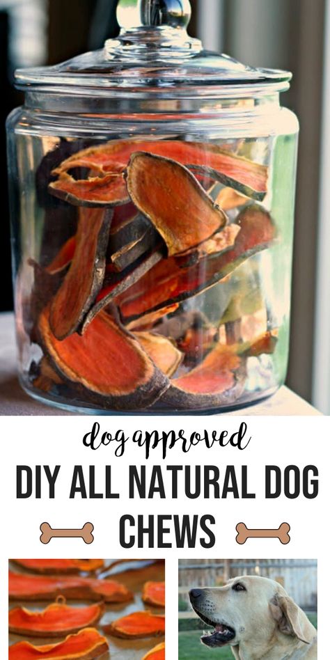 Mason Jar Dog Treats, Healthy Homemade Treats For Dogs, Homemade Dog Products, Easy Homemade Puppy Treats, Dog Treat Recipes No Bake, Diy Organic Dog Treats, Easy Doggie Treats, Homemade Dog Treats For Training, Dental Dog Treats Homemade