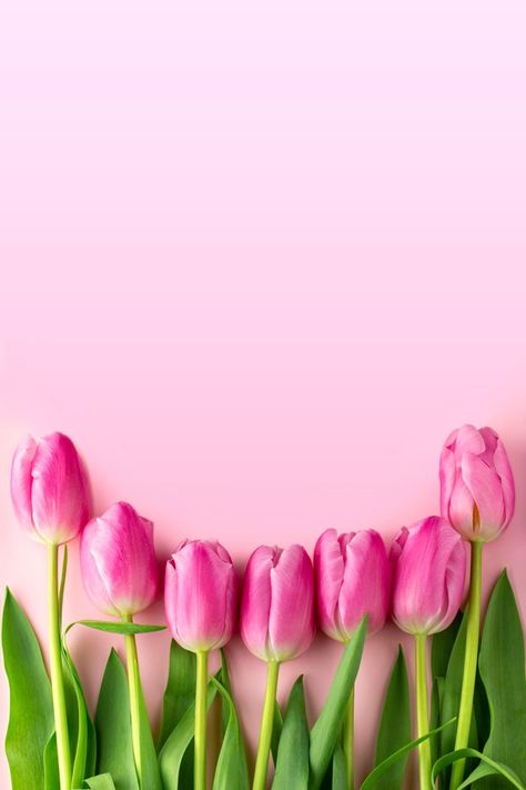 Tulipanes con espacio de copia. ramo de ... | Premium Photo #Freepik #photo #flor #floral #tarjeta #amor Math Wallpaper, Spring Flowers Background, Fb Cover Photos, Background Powerpoint, Diy Xmas Gifts, Flowers Photography Wallpaper, Invitation Background, Bloom Blossom, Photo Art Frame