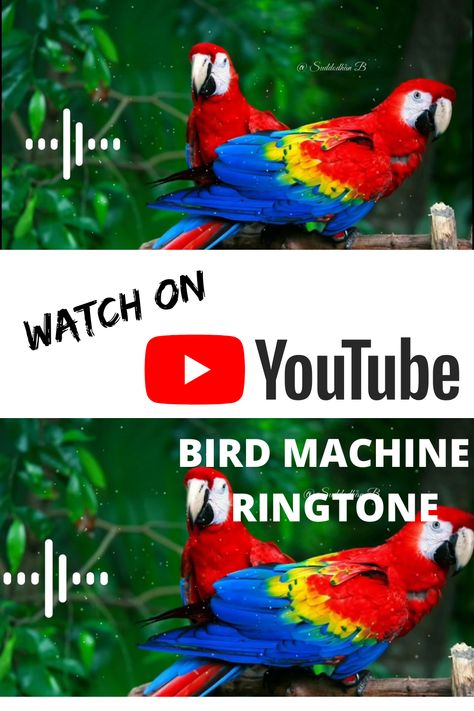 bird machine ringtone | bird machine ringtone remix | bird machine ringtone, bird machine ringtone download, bird machine ringtone mp3 download, bird machine ringtone remix, bird machine ringtone dj ringtonefor mobile, latest ringtone, love tone, ringtone remix, ringtone mp3, mp3 ringtone, best mp3 ringtone,best mobile ringtone, mp3 ringtone download, ringtone download link, ringtone download, famous ringtone, ringtone, no, message ringtone, message tone, funnymessage ringtone, sms ringtone, Message Tone, Message Ringtone, Ringtone Download, Dj Snake, Best Mobile, Parrot, Dj, Animals