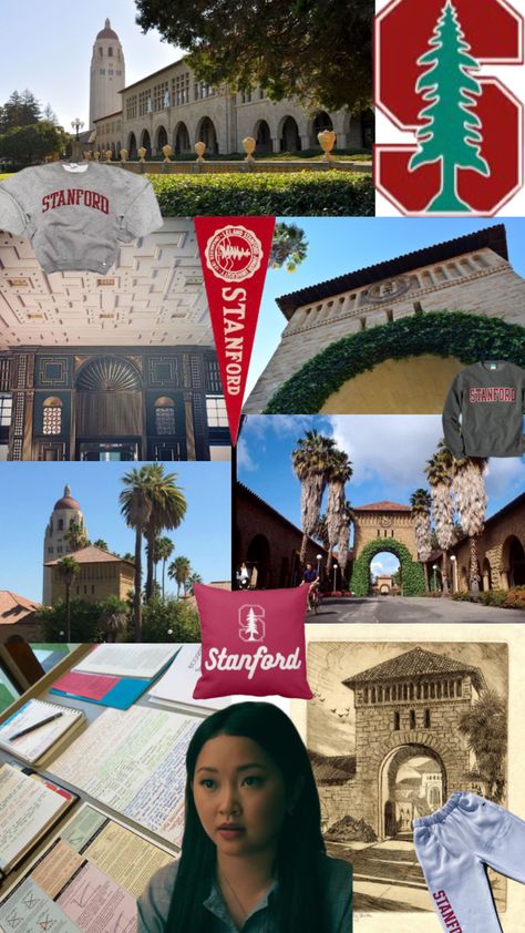 Stanford Campus Aesthetic, Stanford Vision Board, Stanford University Aesthetic Campus, Stanford Law School Aesthetic, Stanford Motivation, Stanford University Wallpaper, Stanford Wallpaper, Stanford University Medical School, Stanford University Aesthetic