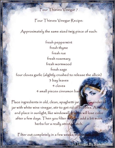 Four Thieves Vinegar 7 4 Thieves Vinegar Recipe, Four Thieves Vinegar, Witchy Tips, Voodoo Hoodoo, Autumnal Equinox, Herbal Magic, Book Of Shadows, Apothecary, Vinegar