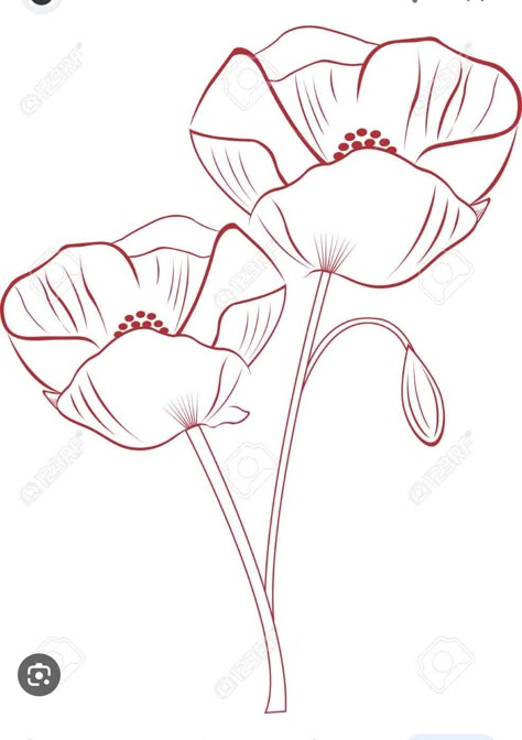 Poppy Flower Drawing, Flowers Outline, Poppies Tattoo, Flower Drawing Tutorials, Violet Flowers, Flower Art Drawing, Flower Sketches, Floral Drawing, Poppy Flowers