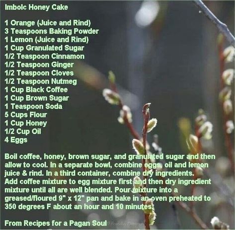 Imbolc Honey Cake Blessed Imbolc, Celebrate Imbolc, Imbolc Ritual, Witch Recipes, Wicca Recipes, Pagan Holidays, St Bridget, Kitchen Witch Recipes, Sauce For Rice