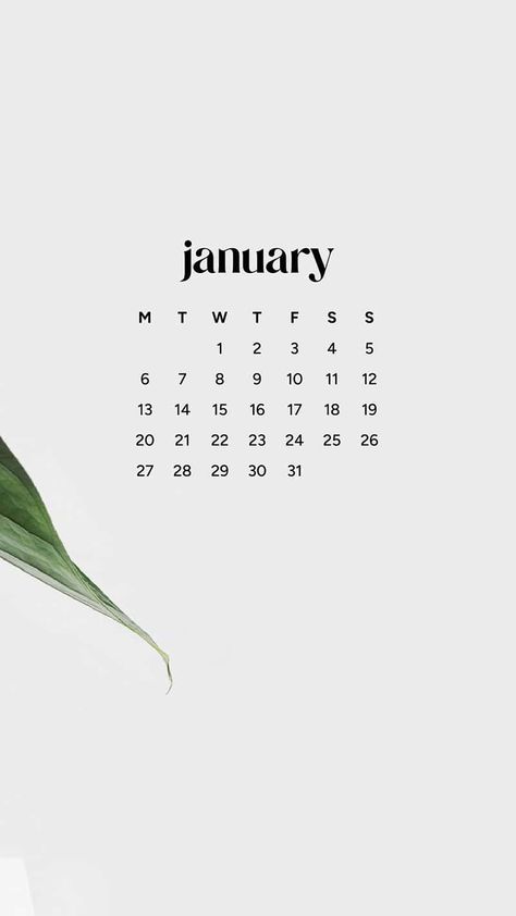 January 2025 wallpapers – 55 FREEBIES for desktop & phones! Phone Free Day, January Ipad Wallpaper Aesthetic, January Calendar 2025 Aesthetic, January 2025 Aesthetic, Wallpaper Iphone January, January 2025 Wallpaper, Iphone Wallpaper January, Aesthetic January Wallpaper, January 2025 Calendar