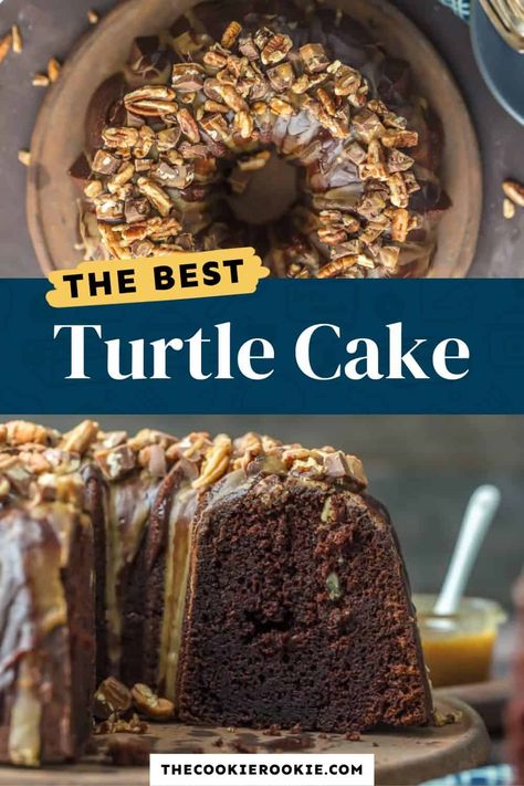 TURTLE CAKE is a chocolate lovers dream. This Turtle Brownie Cake recipe is a dense and moist chocolate brownie cake with walnuts and topped with the most incredible ganache and caramel drizzle. It simply doesn't get better than this Chocolate Turtle Cake! Chocolate Turtle Bundt Cake, Turtle Bundt Cake, Chocolate Turtle Cake Recipe, Chocolate Brownie Cake Recipe, Chocolate Turtle Cake, Turtle Brownie, Moist Chocolate Brownies, Brownie Torte, Brownie Cake Recipe