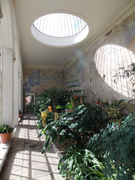 Calke Abbey orangery Architecture Windows, Casa Country, New Wall, Garden Room, House Inspo, Dream Home Design, City Guide, Mexico City, House Inspiration