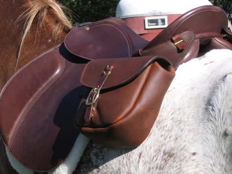 Saddle Bags Horse, English Tack, Leather Craft Projects, Horse Gear, English Saddle, Leather Saddle Bags, Motorcycle Gear, Riding Outfit, Leather Projects