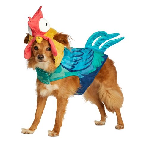 Hei Hei Costume, Moana Halloween, Fun Halloween Costumes, Moana Disney, Heads And Tails, Disney Moana, Very Scary, Dog Costume, Cool Halloween Costumes