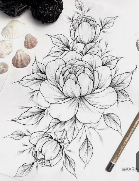 Most current Snap Shots Peonies drawing Ideas The peony is usually outrageously wonderful in bloom via springtime for you to summer—with abundant plants #current #drawing #Ideas #Peonies #Shots #Snap Peony Tattoo, A Drawing, Magnolia, Flower Tattoo, Black And White, Flowers, White, Black