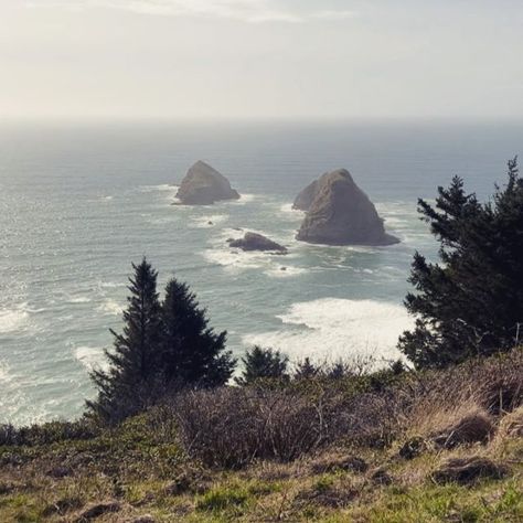 Tillamook County, Oregon Coast - Beaches, Attractions & Things to Do Tillamook Oregon, Fun At The Beach, Places To Explore, Road Map, Oregon Coast, Beach Fun, Beautiful Views, Amazing Things, At The Beach