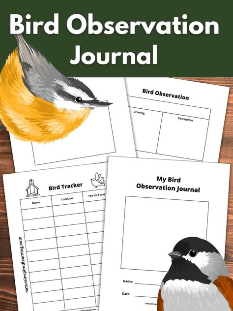 Birds Worksheets For Kids, Spring Easy Crafts, Coloring Pages Butterflies, Bird Watching Journal, Homeschool Coop, Spring Worksheets, Bird Journal, Nature Printables, Science Printables