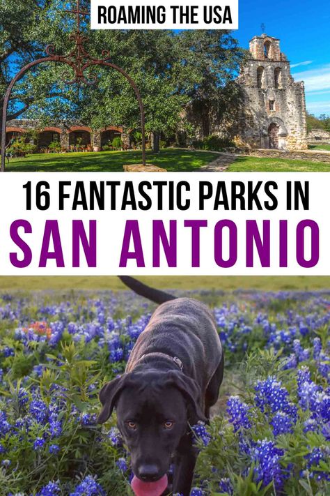 16 Fantastic Parks in San Antonio - Roaming the USA Brackenridge Park San Antonio, San Antonio Vacation, Downtown San Antonio, Bald Cypress, Natural Spring, Spring Park, Texas History, Lake Park, Texas Travel