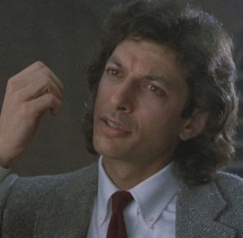 Young Jeff Goldblum, Jeff Goldblum The Fly, Seth Brundle, Jeff Goldbloom, Ian Malcolm, David Cronenberg, Dr Ian, Atticus Finch, Jeff Goldblum